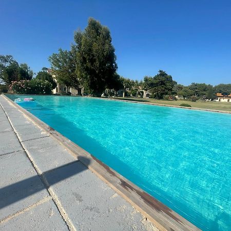 Mas Du Grand Peloux Hotel Пор-Сен-Луи-дю-Рон Екстериор снимка